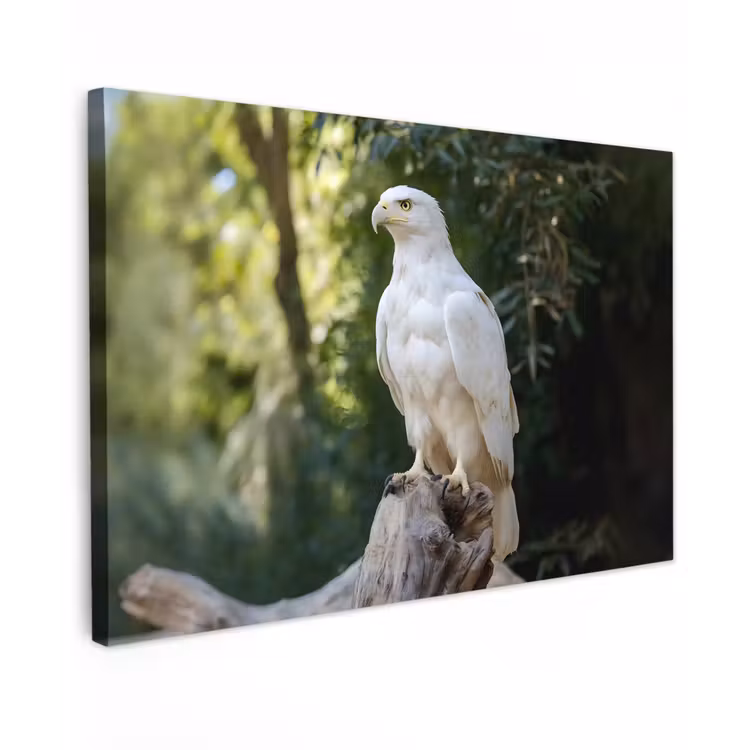 Arend - Hout - Wit - Planten Tuinposter op houten frame 2 cm dik klein -3d