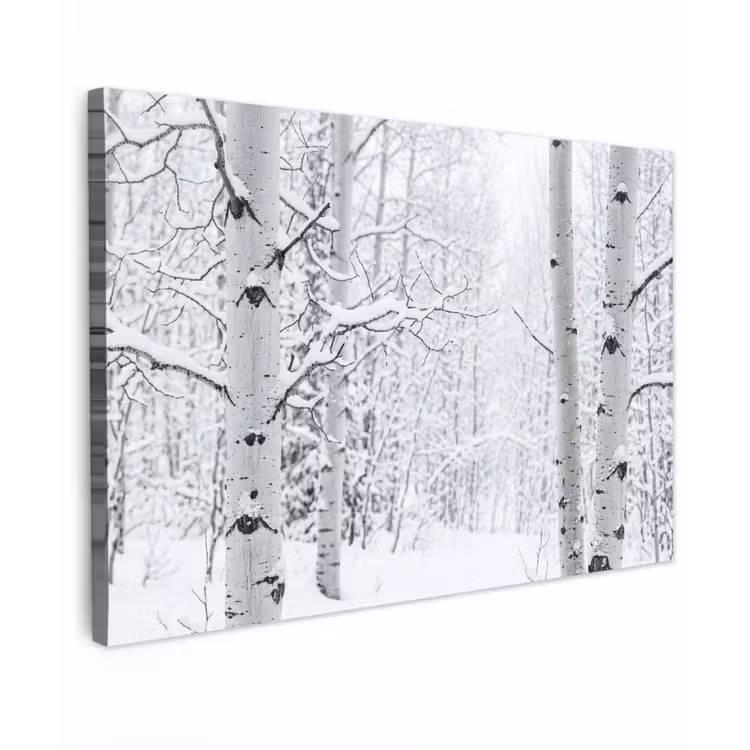 Berkenbomen - Sneeuw - Winter - Bos - Wit Tuinposter op houten frame 2 cm dik klein -3d