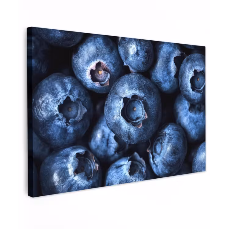 Bessen - Blauw - Fruit Tuinposter op houten frame 2 cm dik klein -3d