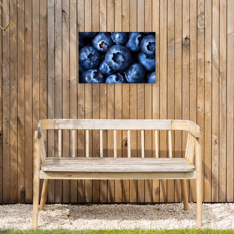 Bessen - Blauw - Fruit Tuinposter op houten frame 2 cm dik klein -sfeer4