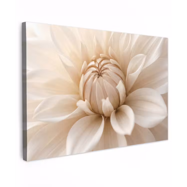 Bloem - Dahlia - Wit Tuinposter op houten frame 2 cm dik klein -3d