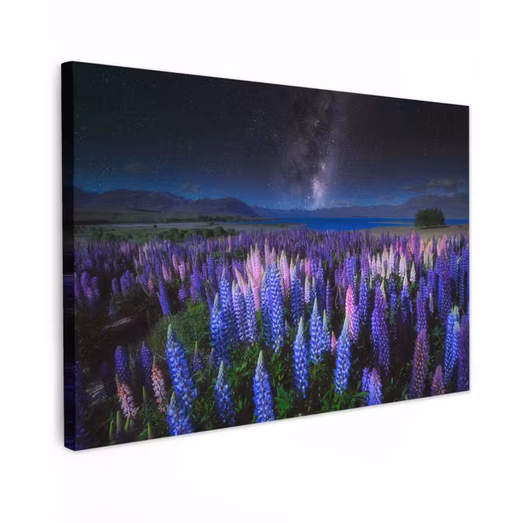 Bloemen - Nacht - Lupine - Sterrenhemel - Paars - Natuur Tuinposter op houten frame 2 cm dik klein -3d
