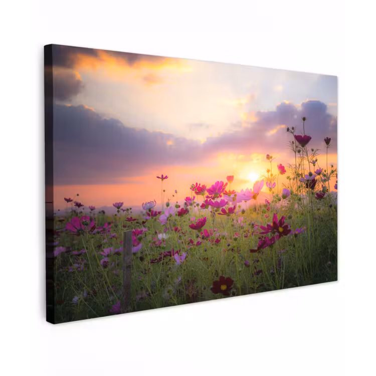 Bloemen - Roze - Zonsondergang - Natuur - Weide - Horizon Tuinposter op houten frame 2 cm dik klein -3d