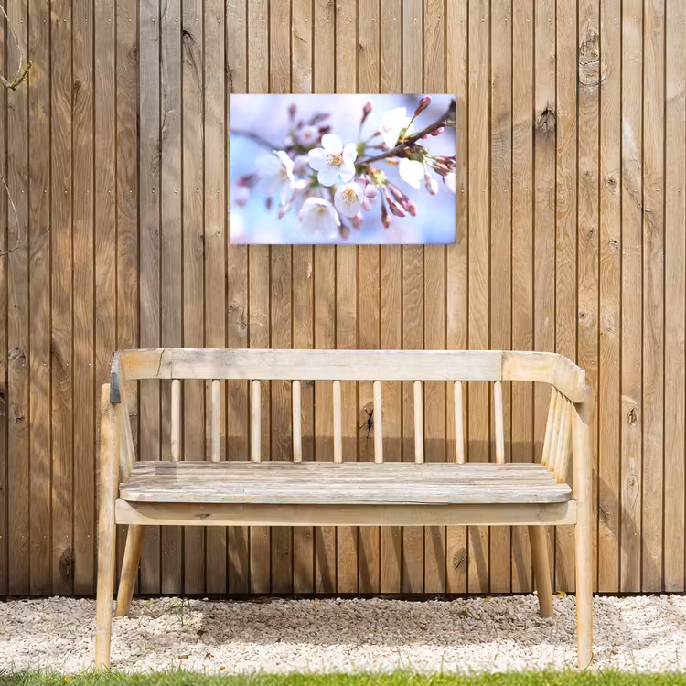 Bloemen - Sakura - Tak - Bloesem takken Tuinposter op houten frame 2 cm dik klein -sfeer4