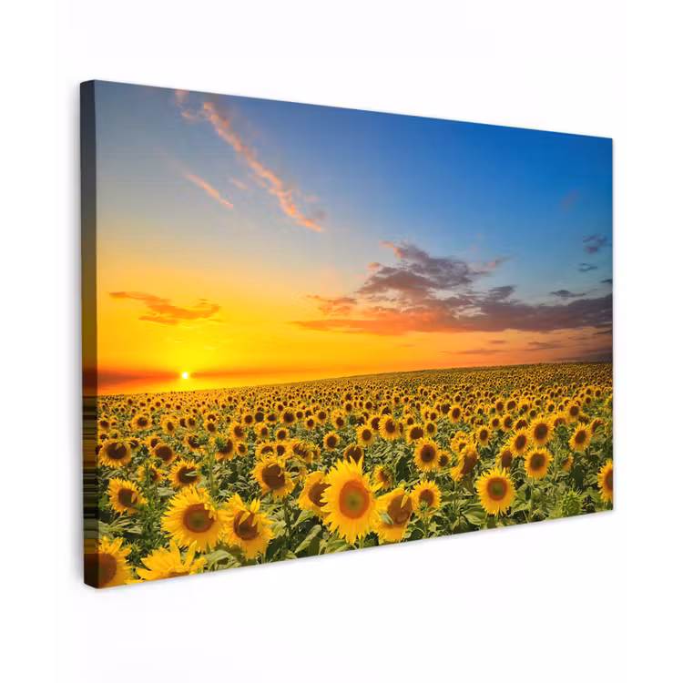 Bloemen - Zonnebloem - Zonsondergang - Nacht - Oranje Tuinposter op houten frame 2 cm dik klein -3d