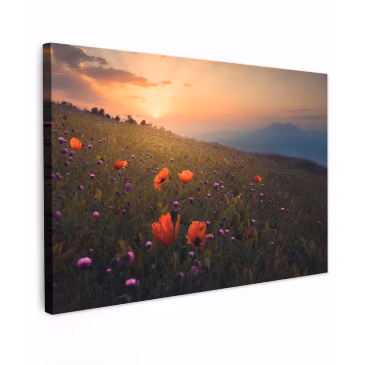 Bloemenveld - Gras - Bloemen - Planten - Zonsondergang - Oranje Tuinposter op houten frame 2 cm dik klein -3d