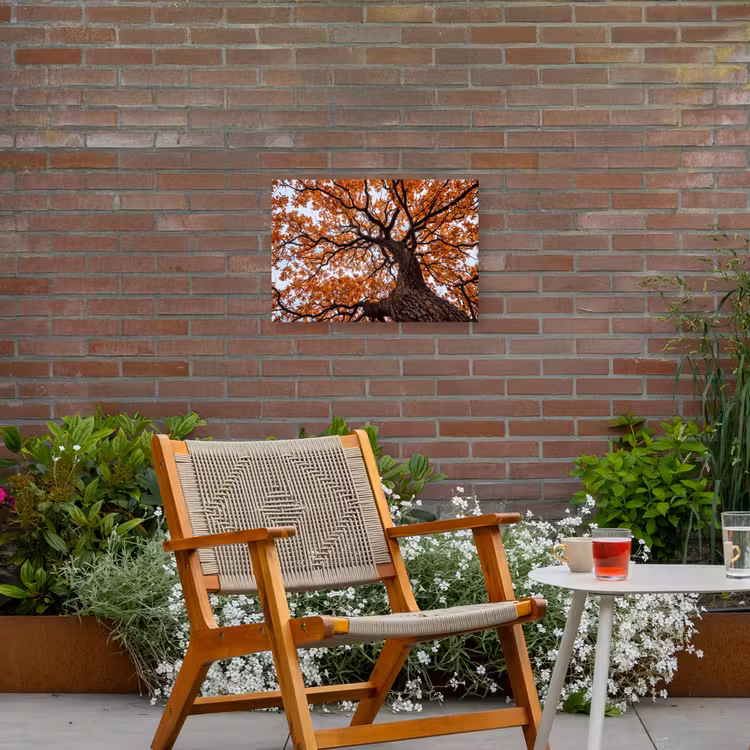 Boom - Bladerdak - Herfst - Oranje - Sfeervol Tuinposter op houten frame 2 cm dik klein -sfeer3