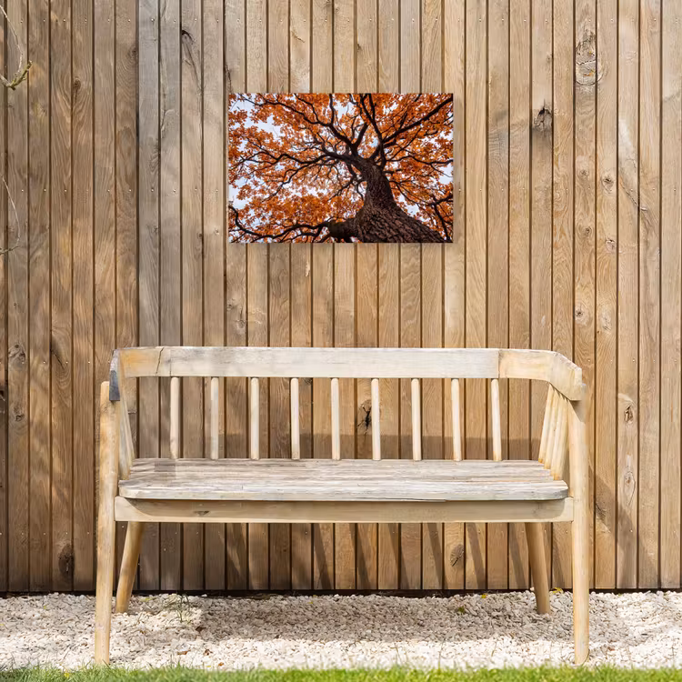 Boom - Bladerdak - Herfst - Oranje - Sfeervol Tuinposter op houten frame 2 cm dik klein -sfeer4