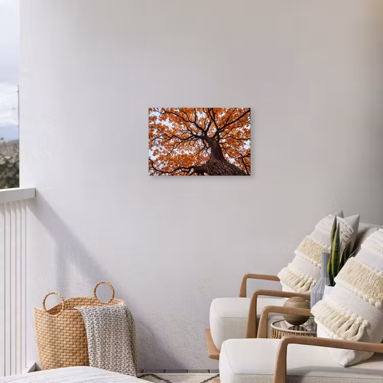 Boom - Bladerdak - Herfst - Oranje - Sfeervol Tuinposter op houten frame 2 cm dik klein -sfeer1