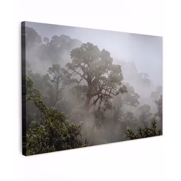 Boom - Mistig - Bos - Groen - Natuur Tuinposter op houten frame 2 cm dik klein -3d
