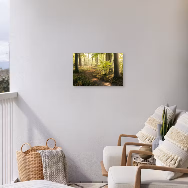 Bos - Bomen - Pad - Zon - Planten - Bladeren - Natuur Tuinposter op houten frame 2 cm dik klein -sfeer1