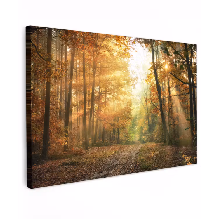 Bos - Herfst - Zon - Landschap - Natuur - Bomen - Bladeren Tuinposter op houten frame 2 cm dik klein -3d