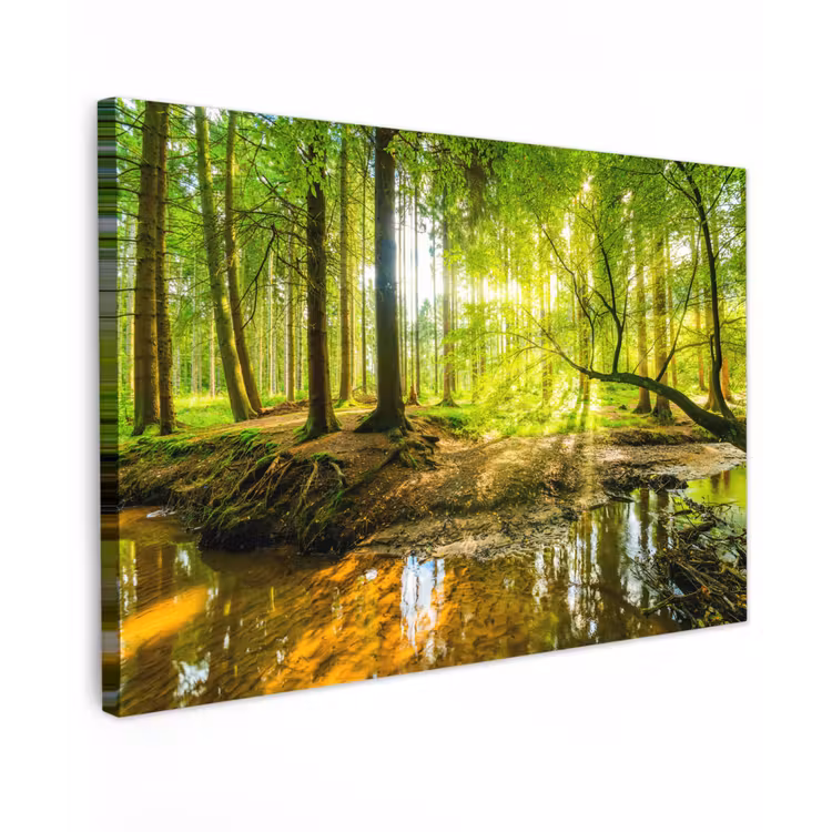 Bos - Landschap - Water - Bomen - Zon - Groen - Natuur Tuinposter op houten frame 2 cm dik klein -3d