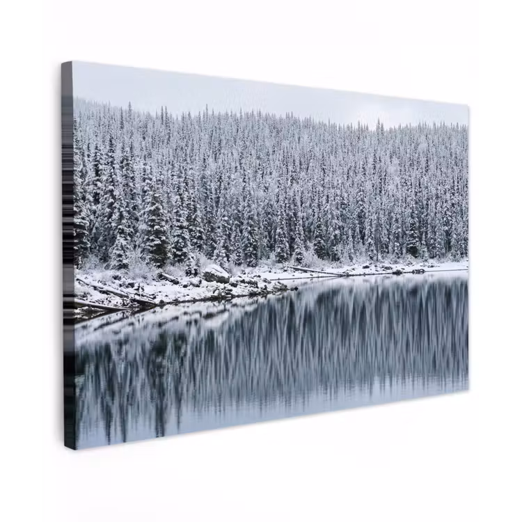 Bos - Reflectie - Meer - Winter - Serene Tuinposter op houten frame 2 cm dik klein -3d