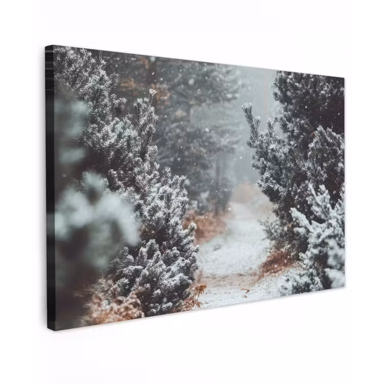 Bos - Winter - Bomen - Natuur - Pad - Sneeuw Tuinposter op houten frame 2 cm dik klein -3d