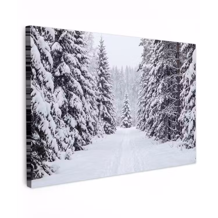 Bos - Winter - Sneeuw - Pad - Natuur Tuinposter op houten frame 2 cm dik klein -3d