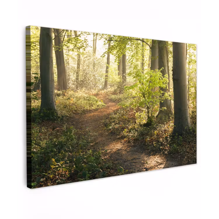Bospad bij zonsopgang Tuinposter op houten frame 2 cm dik klein -3d