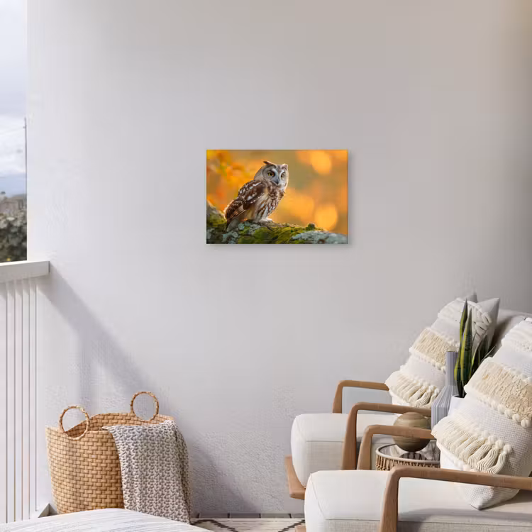 Bosuil op Mosbegroeide Tak Tuinposter op houten frame 2 cm dik klein -sfeer1