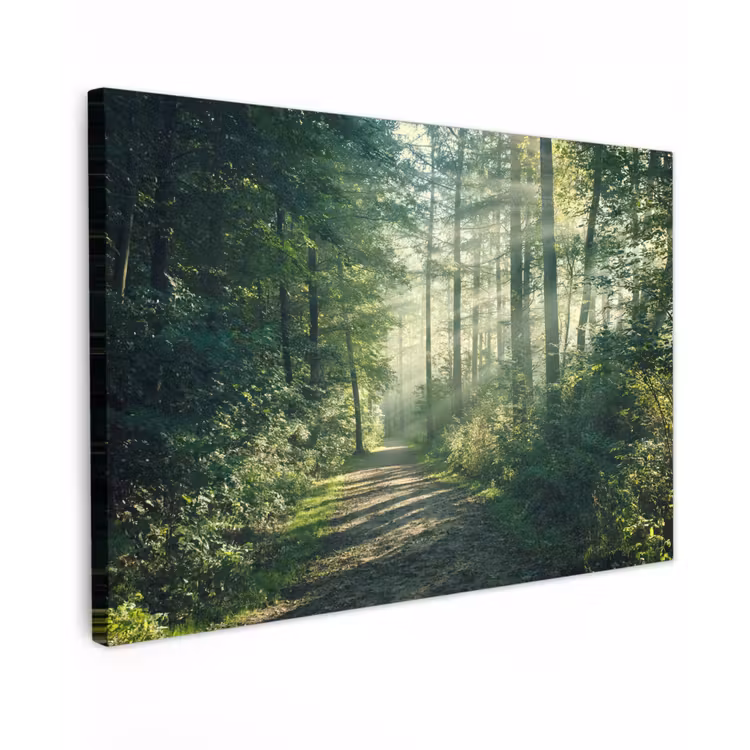 Bosweg in ochtendlicht Tuinposter op houten frame 2 cm dik klein -3d