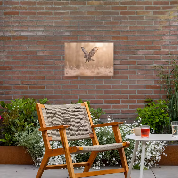 Buizerd - Roofvogel - Natuur - Bruin Tuinposter op houten frame 2 cm dik klein -sfeer3