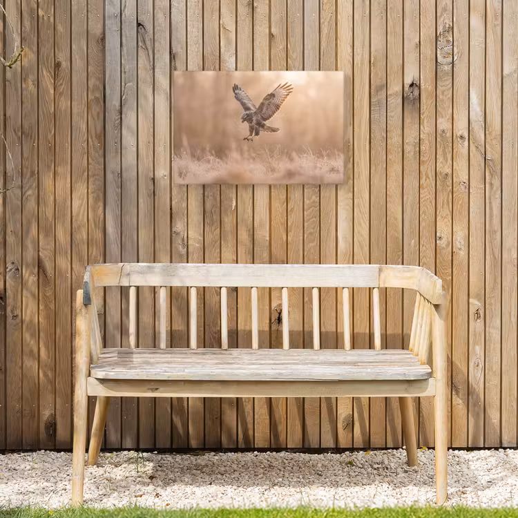 Buizerd - Roofvogel - Natuur - Bruin Tuinposter op houten frame 2 cm dik klein -sfeer4