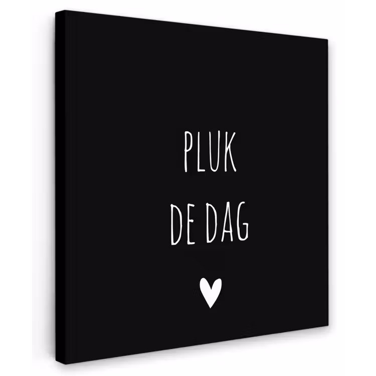 Carpe diem - Spreuken - Pluk de dag - Quotes Tuinposter op houten frame 2 cm dik middel -3d