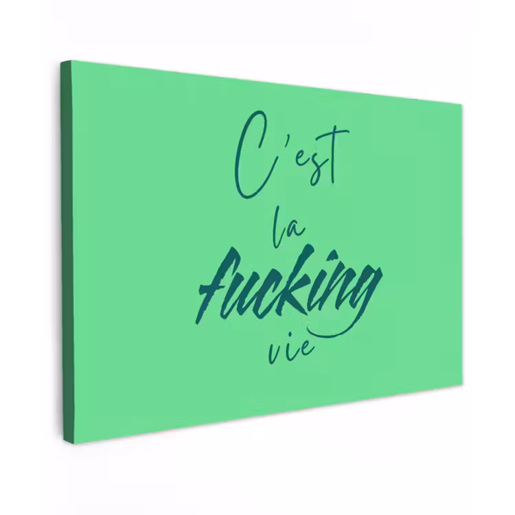 c'est la fucking vie - Groen - Penseelstijl Tuinposter op houten frame 2 cm dik klein -3d