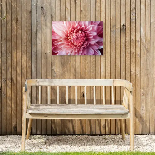 Dahlia - Bloem - Close up - Roze Tuinposter op houten frame 2 cm dik klein -sfeer4
