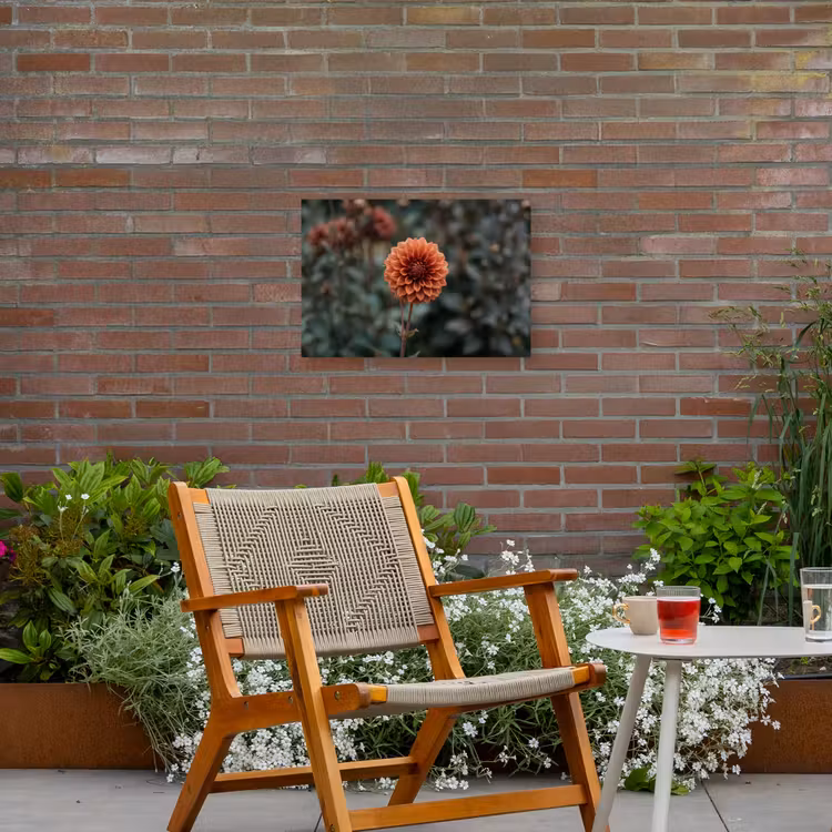 Dahlia - Bloem - Natuur - Sfeervol Tuinposter op houten frame 2 cm dik klein -sfeer3