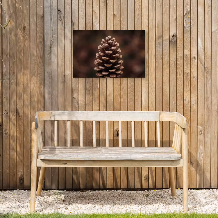 Dennenappel - Bos - Herfst - Bruin - Sfeervol Tuinposter op houten frame 2 cm dik klein -sfeer4