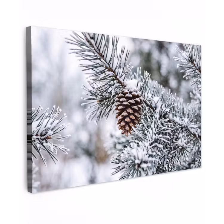 Dennenappel - Tak - Sneeuw - Winter - Sfeervol Tuinposter op houten frame 2 cm dik klein -3d