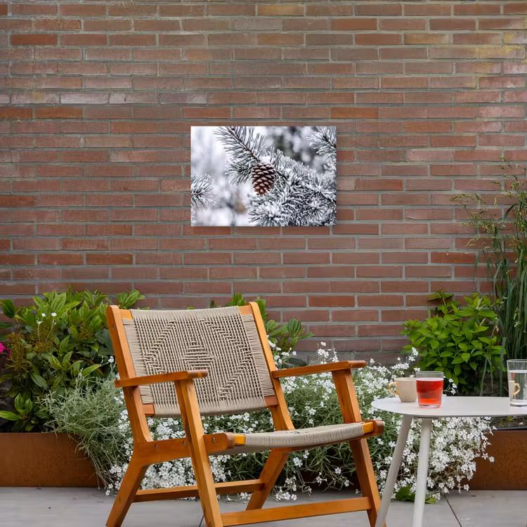Dennenappel - Tak - Sneeuw - Winter - Sfeervol Tuinposter op houten frame 2 cm dik klein -sfeer3