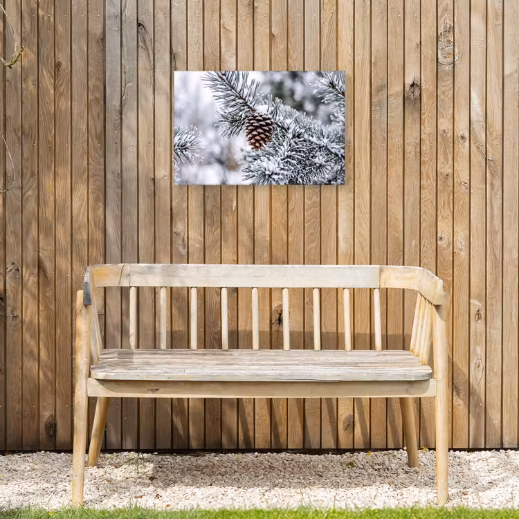 Dennenappel - Tak - Sneeuw - Winter - Sfeervol Tuinposter op houten frame 2 cm dik klein -sfeer4