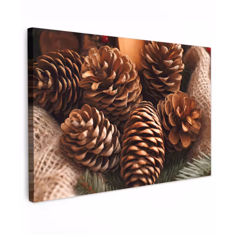Dennenappels - Boom - Winter - Natuur - Bruin Tuinposter op houten frame 2 cm dik klein -3d