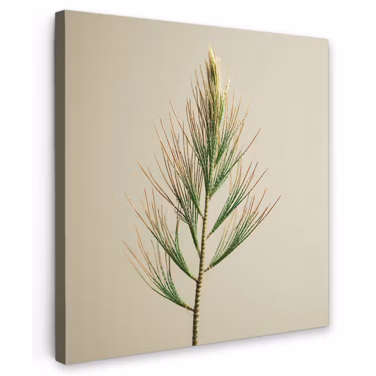 Dennentak - Naaldvormige bladeren - Lichtgroen Tuinposter op houten frame 2 cm dik middel -3d