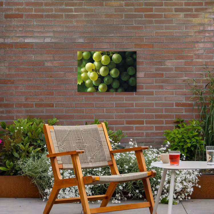 Druiven - Tros - Groen Tuinposter op houten frame 2 cm dik klein -sfeer3