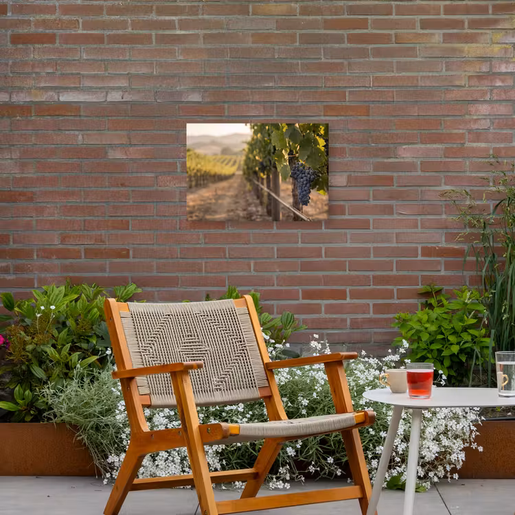 Druiven - Wijngaard - Zonlicht Tuinposter op houten frame 2 cm dik klein -sfeer3