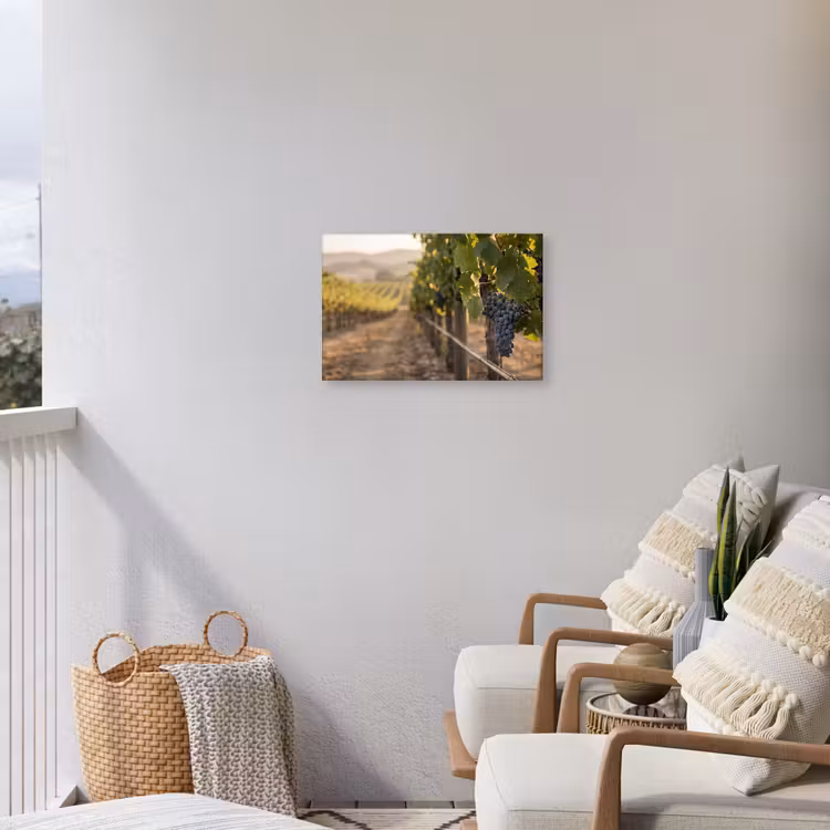 Druiven - Wijngaard - Zonlicht Tuinposter op houten frame 2 cm dik klein -sfeer1