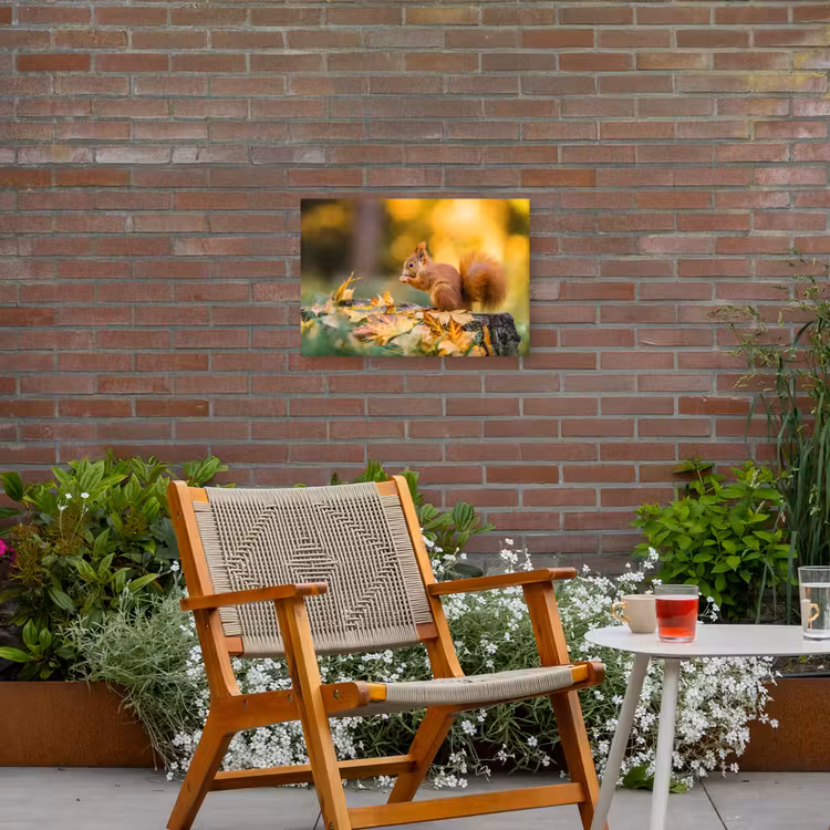 Eekhoorn - Herfst - Bosdieren - Herfstbladeren - Bos Tuinposter op houten frame 2 cm dik klein -sfeer3