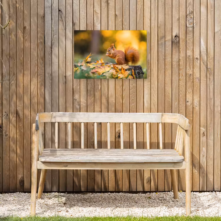 Eekhoorn - Herfst - Bosdieren - Herfstbladeren - Bos Tuinposter op houten frame 2 cm dik klein -sfeer4