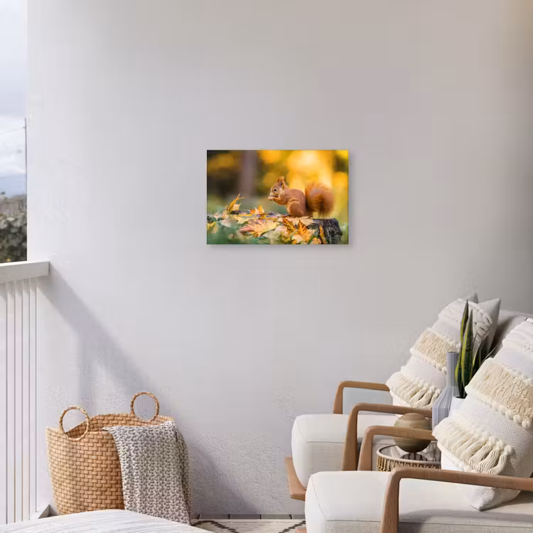 Eekhoorn - Herfst - Bosdieren - Herfstbladeren - Bos Tuinposter op houten frame 2 cm dik klein -sfeer1