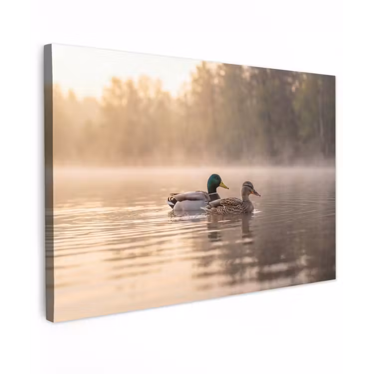Eenden - Water - Mist - Natuur Tuinposter op houten frame 2 cm dik klein -3d