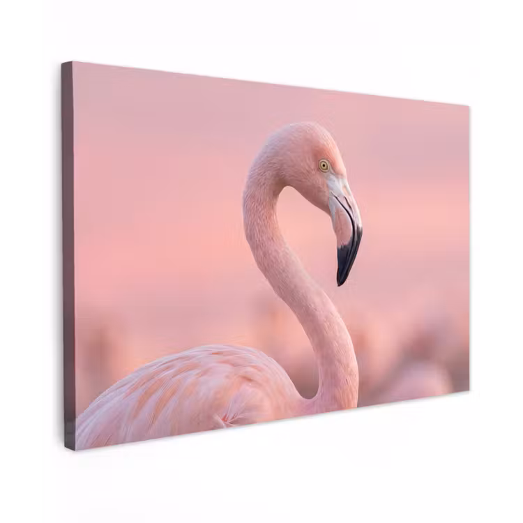 Flamingo - Portret - Roze Tuinposter op houten frame 2 cm dik klein -3d