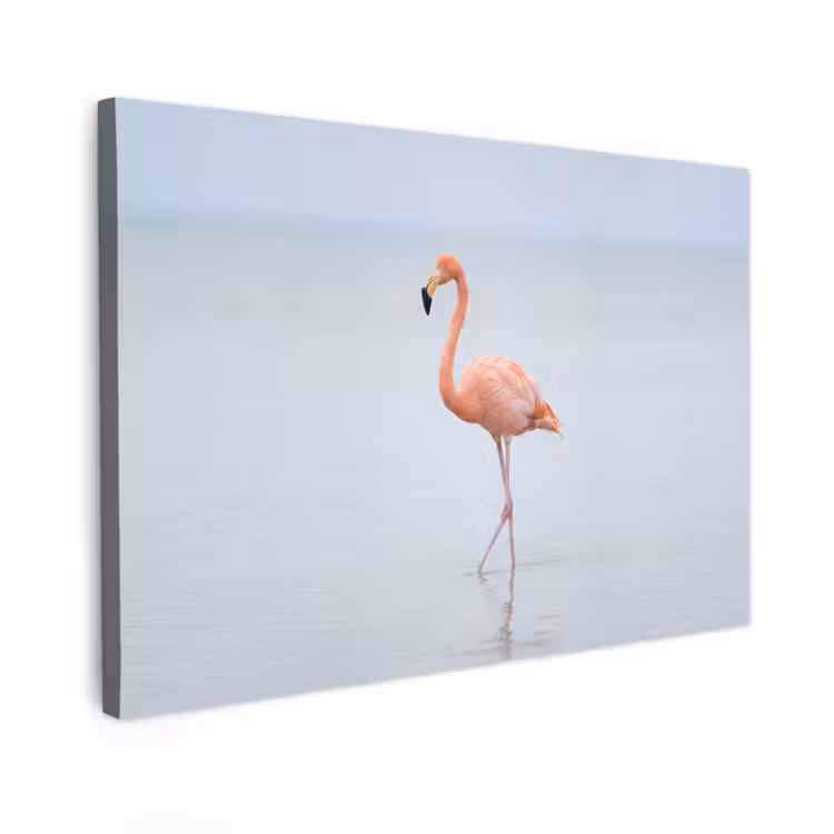Flamingo - Zee - Roze Tuinposter op houten frame 2 cm dik klein -3d