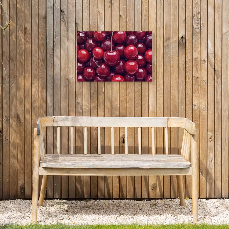 Fruit - Kersen - Eten - Modern - Rood Tuinposter op houten frame 2 cm dik klein -sfeer4