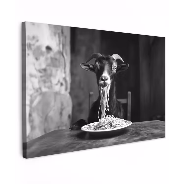 Geit - Bord - Spaghetti - Zwart Wit Tuinposter op houten frame 2 cm dik klein -3d