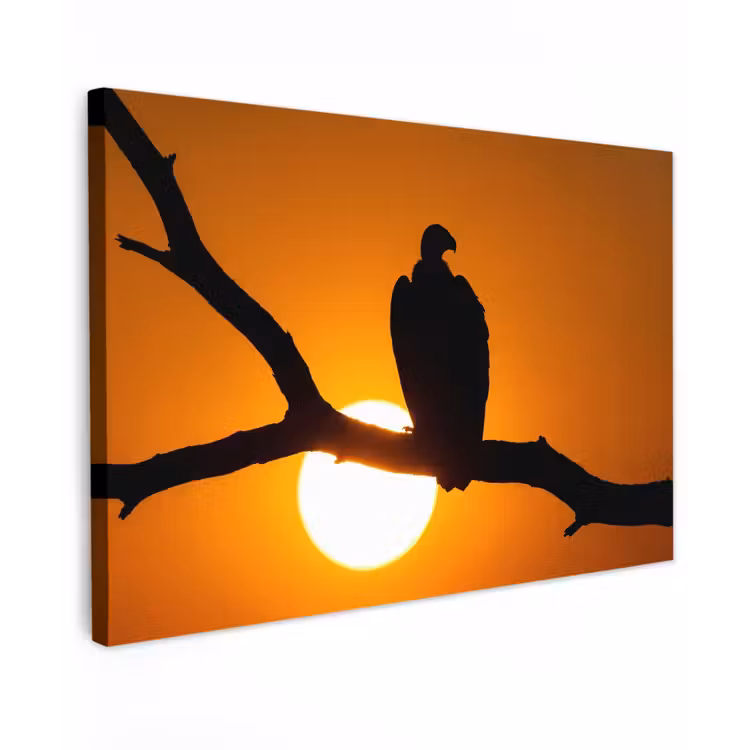 Gier - Tak - Zon - Oranje Tuinposter op houten frame 2 cm dik klein -3d