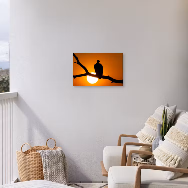 Gier - Tak - Zon - Oranje Tuinposter op houten frame 2 cm dik klein -sfeer1
