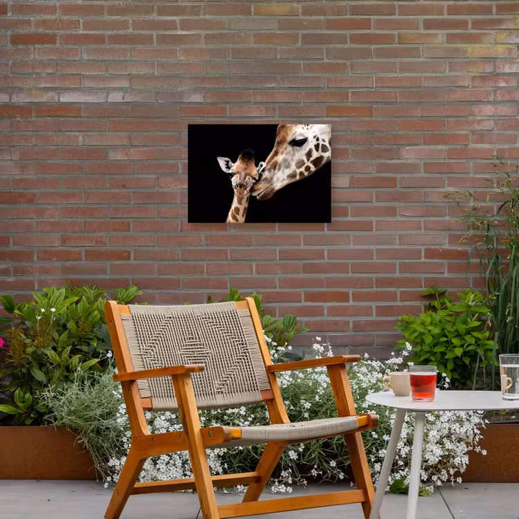 Giraffe - Dieren - Zwart - Portret - Dieren Tuinposter op houten frame 2 cm dik klein -sfeer3