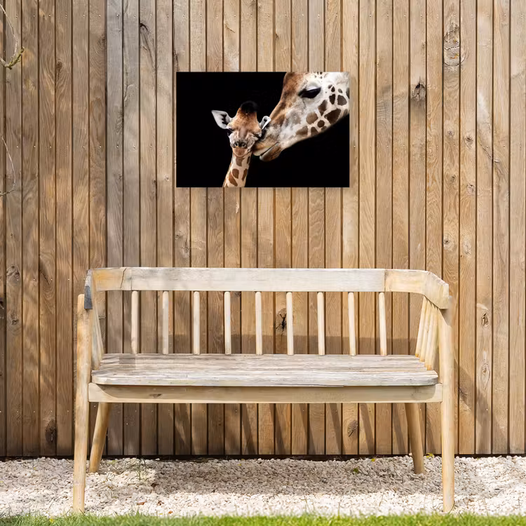 Giraffe - Dieren - Zwart - Portret - Dieren Tuinposter op houten frame 2 cm dik klein -sfeer4